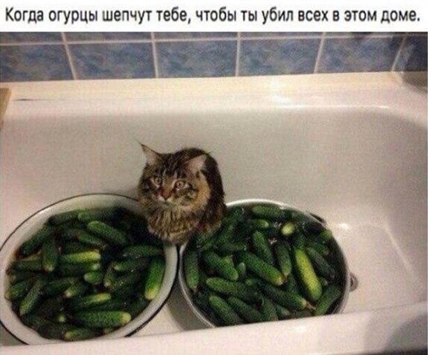 Весёлые картинки 2