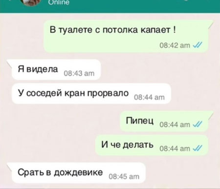 Баяны с распродажи