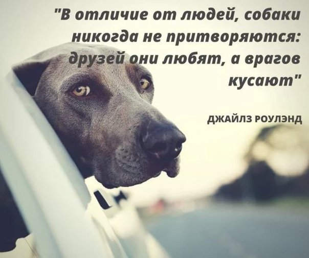 Так себе картинки 17.02.25