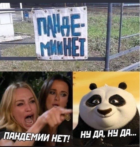 Знаменитый кот
