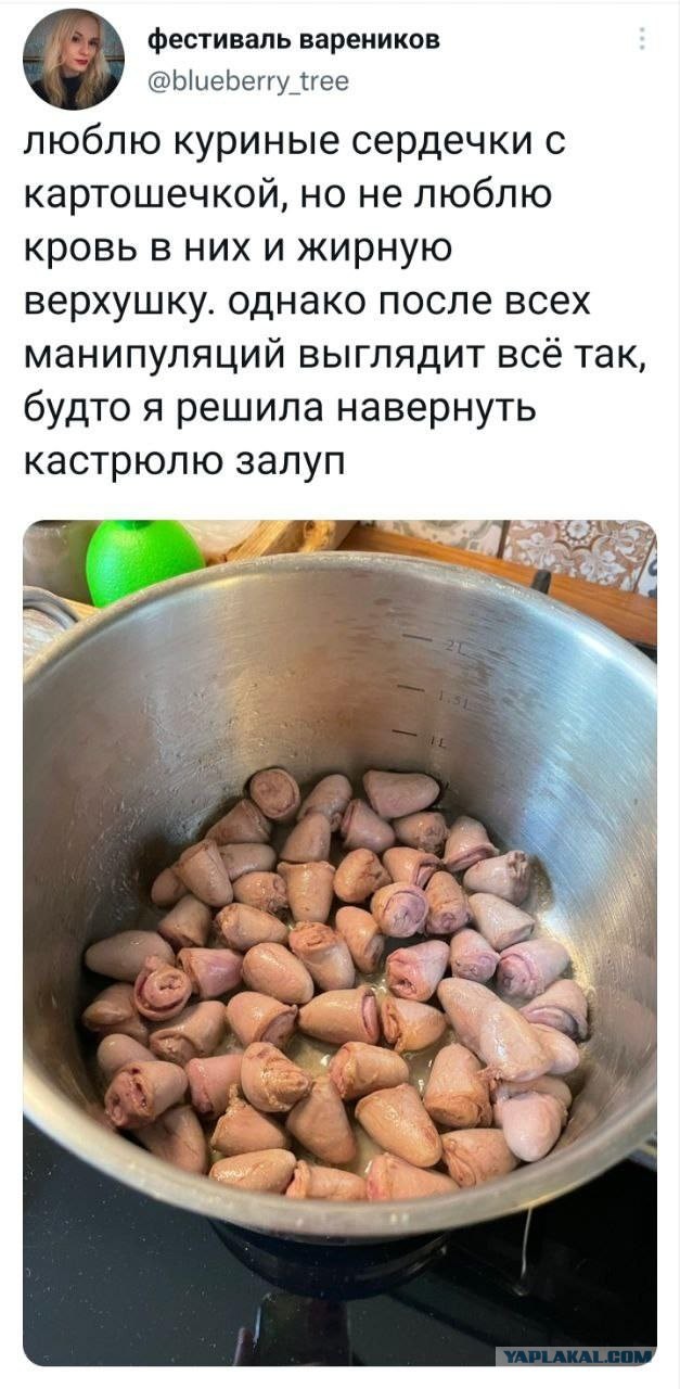 Веселые картинки в пятницу (29.08)
