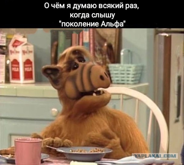 Сундук деграданта! Выпуск номер 11!