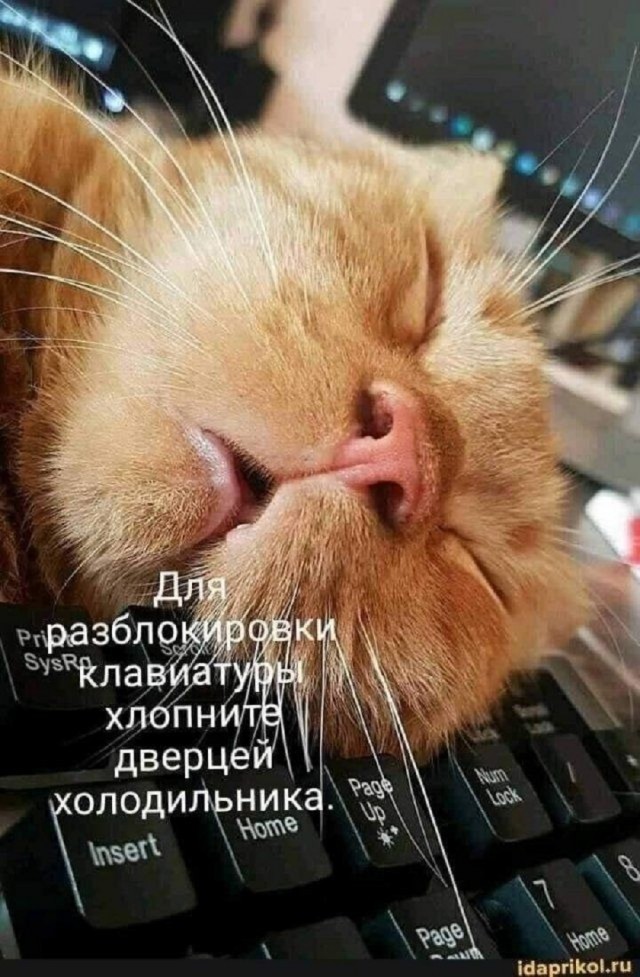 Так себе картинки 26.11.25