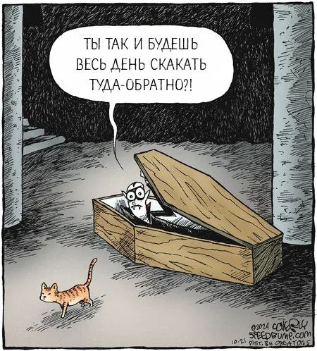Ударим по баянам ?‍↔️