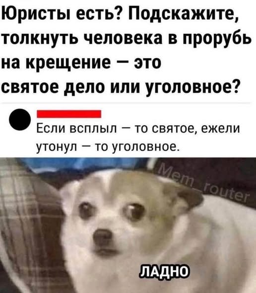Картинки для деградации 132 (разной степени свежести)
