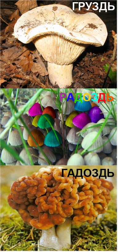 Картинки для деградации 140 (разной степени свежести)