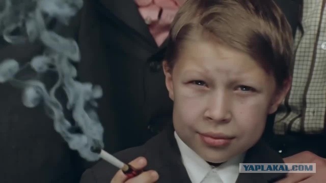 Продуктовая корзина заводчанина нищеброда