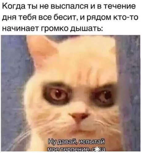 Котямбосы
