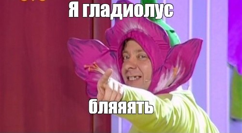 Одуванчики
