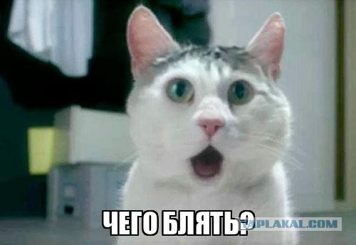 Как похудеть?