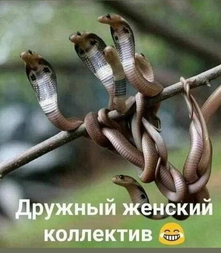 А где мужики в школе?