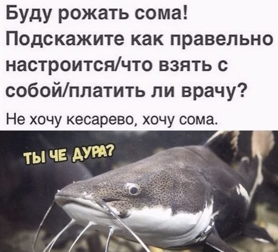 Уровень моего умственного развития