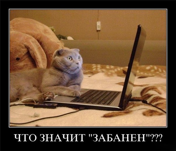 Не про олимпиаду