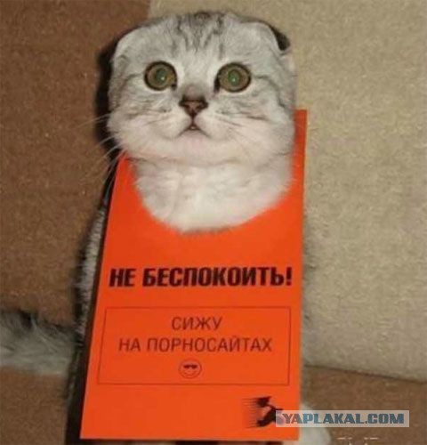 20 объявлений месяца, которыми мы гордимся