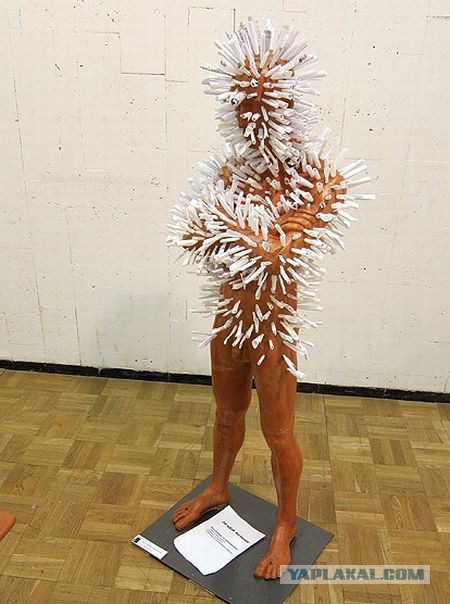 Весёлые картинки