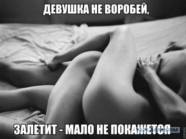 Весёлое из сети