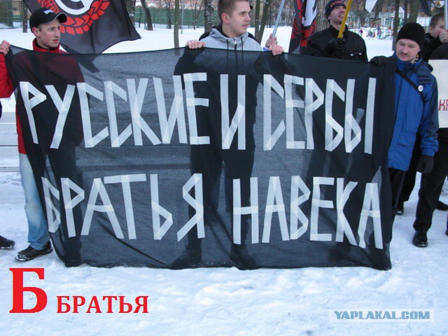 Азбука ЯПа в картинках для начинающих