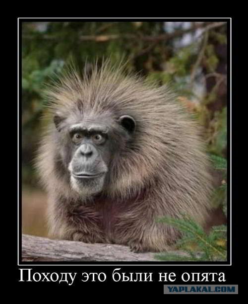 Кто накуренная... Я накуренная?!