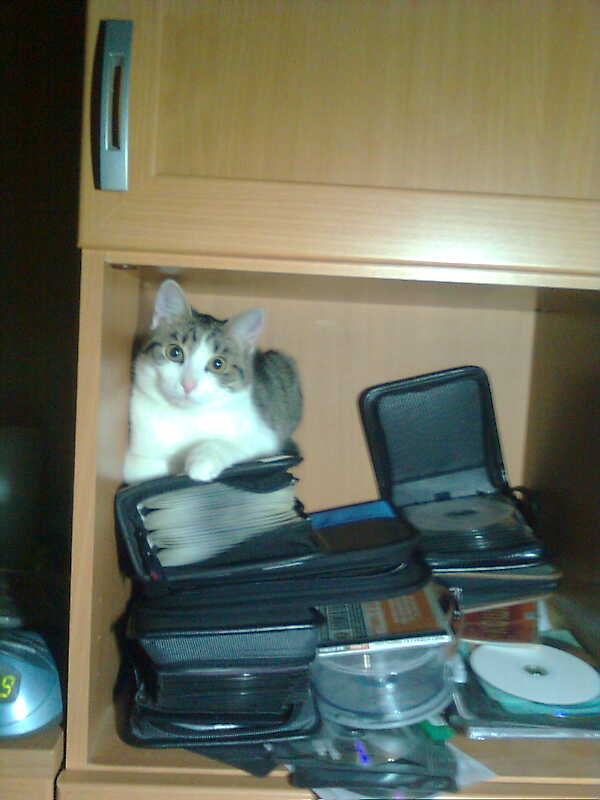 Советская инженерная мысля