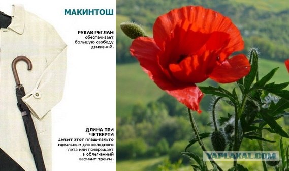 Давным-давно...