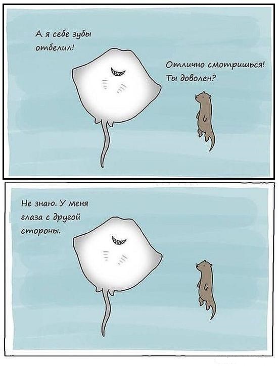 Картинки разные