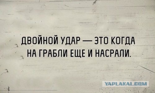 Немного веселых картинок