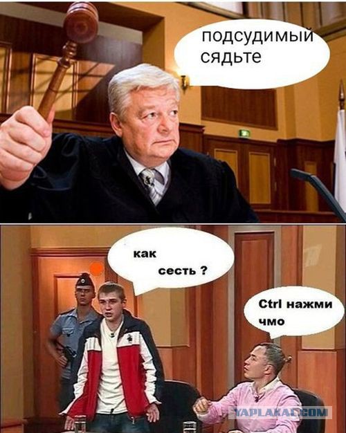 Приколы из сети