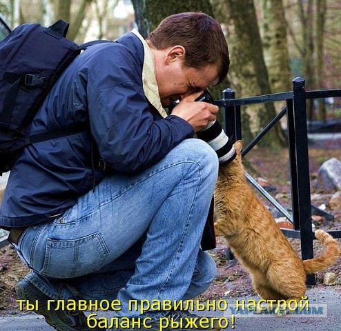 Подборка прикольных картинок