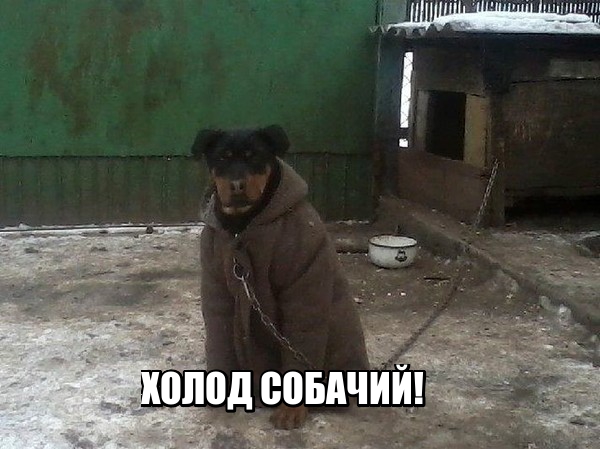 Подборка картинок из сети