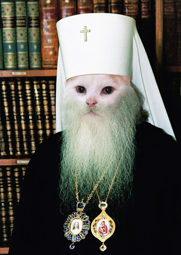 Подборка картинок
