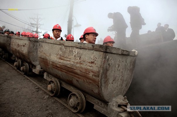 Трудовой народ в лицах