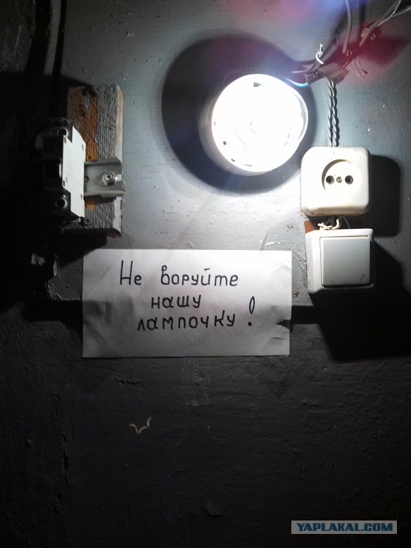 Кто в Самаре жил, тот в цирке не смеется