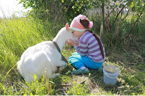 Интересные моменты из жизни  деревни