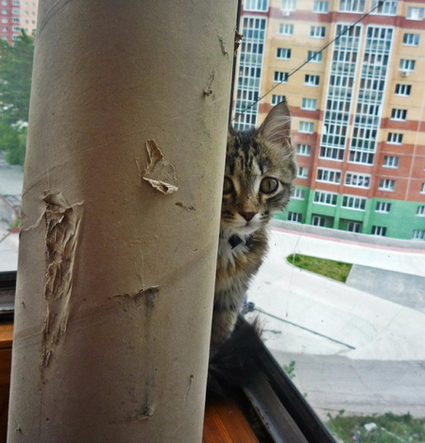 Я хочу красивого