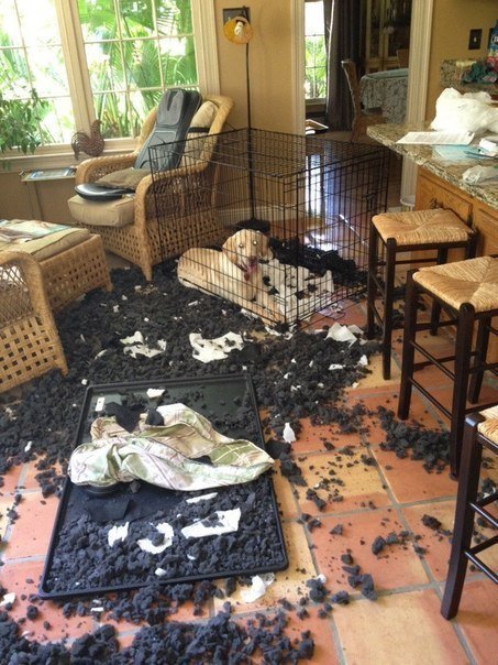 Подборка интересных и веселых картинок