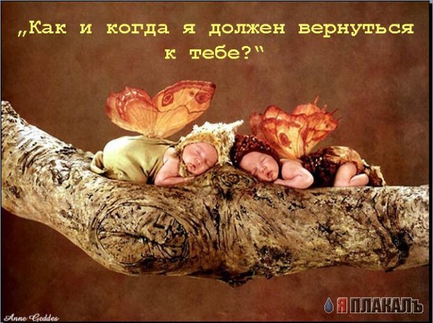 ДЕТИ. Прикольные дети, карапузы, малыши