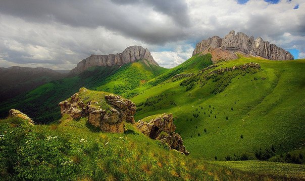 Разные фото. Прикольные и красивые