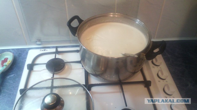 Суп-пюре картофельный с гренками.