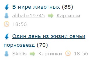 В мире животных