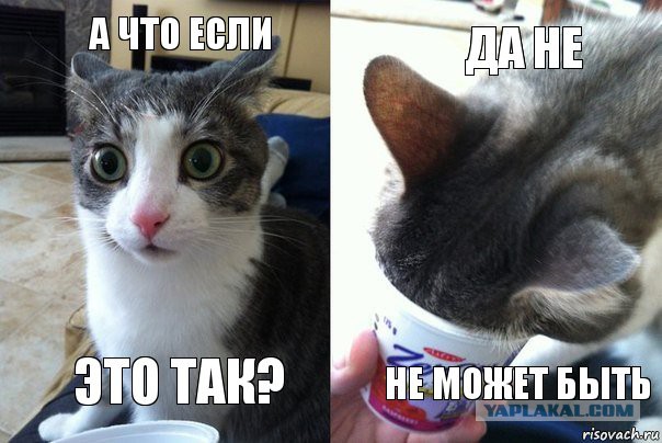 Таксисты пригрозили «Яндекс.Такси» трёхдневным бойкотом после неудачной акции протеста