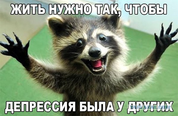 Смешные комментарии из социальных сетей 14.10.2016