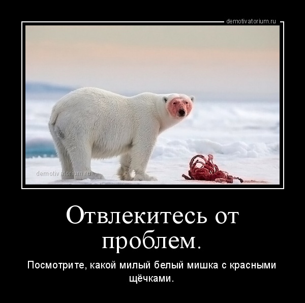 Подборка интересных и веселых картинок