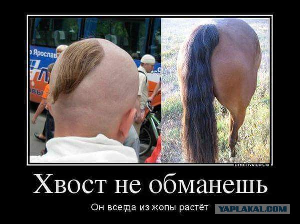 Украинский националист Игорь Мирошниченко требует загнать русскоязычных в гетто