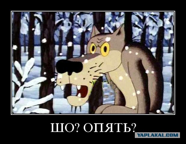 Парализованная бабушка, выброшенная хозяевами съёмной квартиры в подъезд, скончалась в больнице.