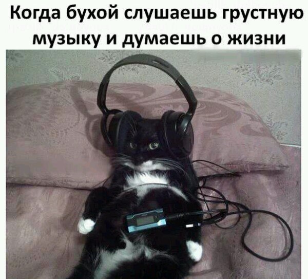 Порция пикчей из палаты №6
