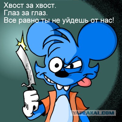 Мышь