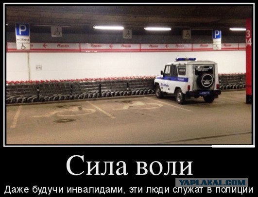 ВЦИОМ: Доверие россиян полиции достигло рекордных цифр