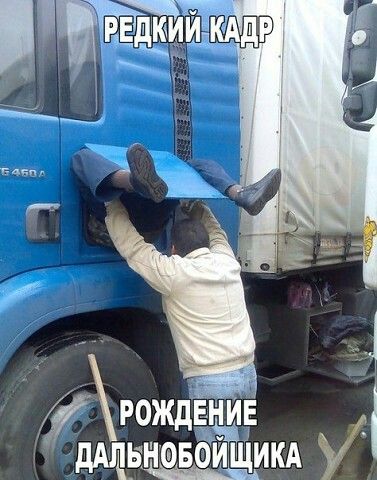 Подборка картинок. Забавных, прикольных - разных!