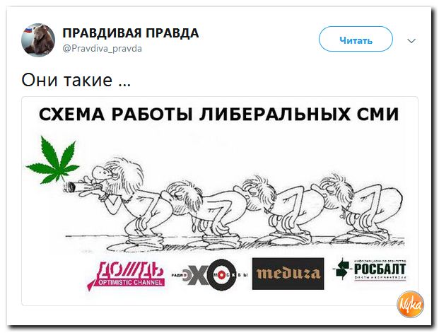Тащили за волосы: В Астрахани полиция задержала девочку, убиравшую навоз за лошадью с дороги
