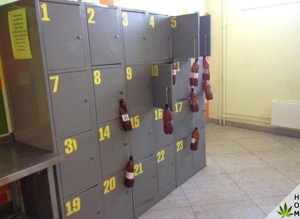WTF: что тут происходит?